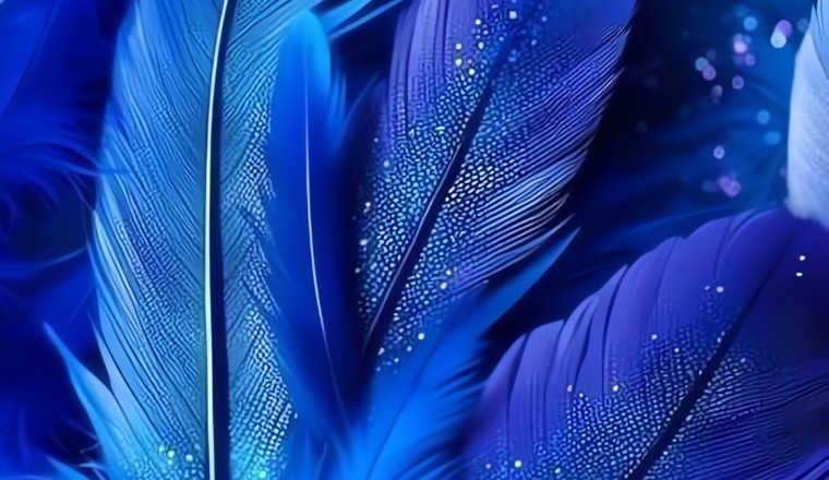Phone Inspiration : Images de fond d'écran pour smartphone